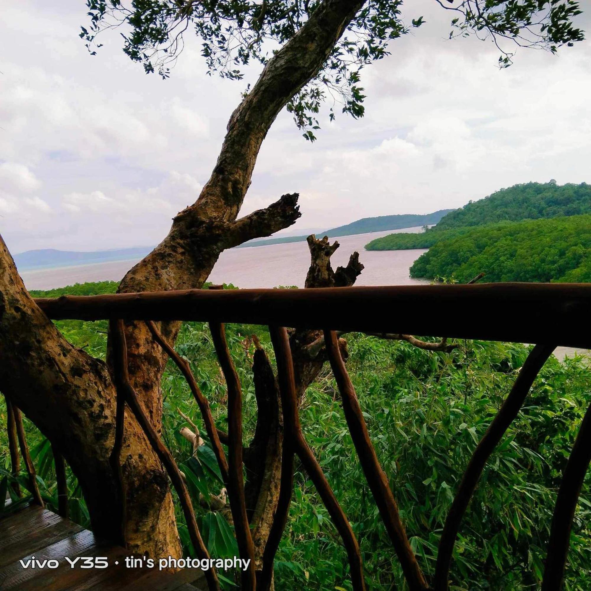 Sanctuaria Treehouses Busuanga Exterior foto