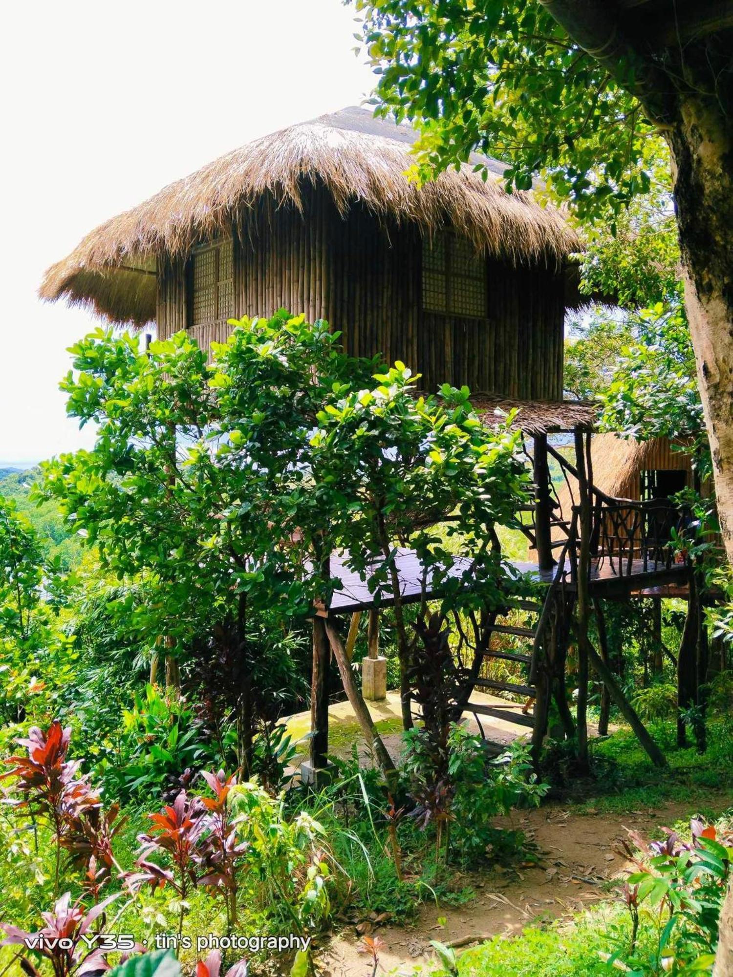 Sanctuaria Treehouses Busuanga Exterior foto