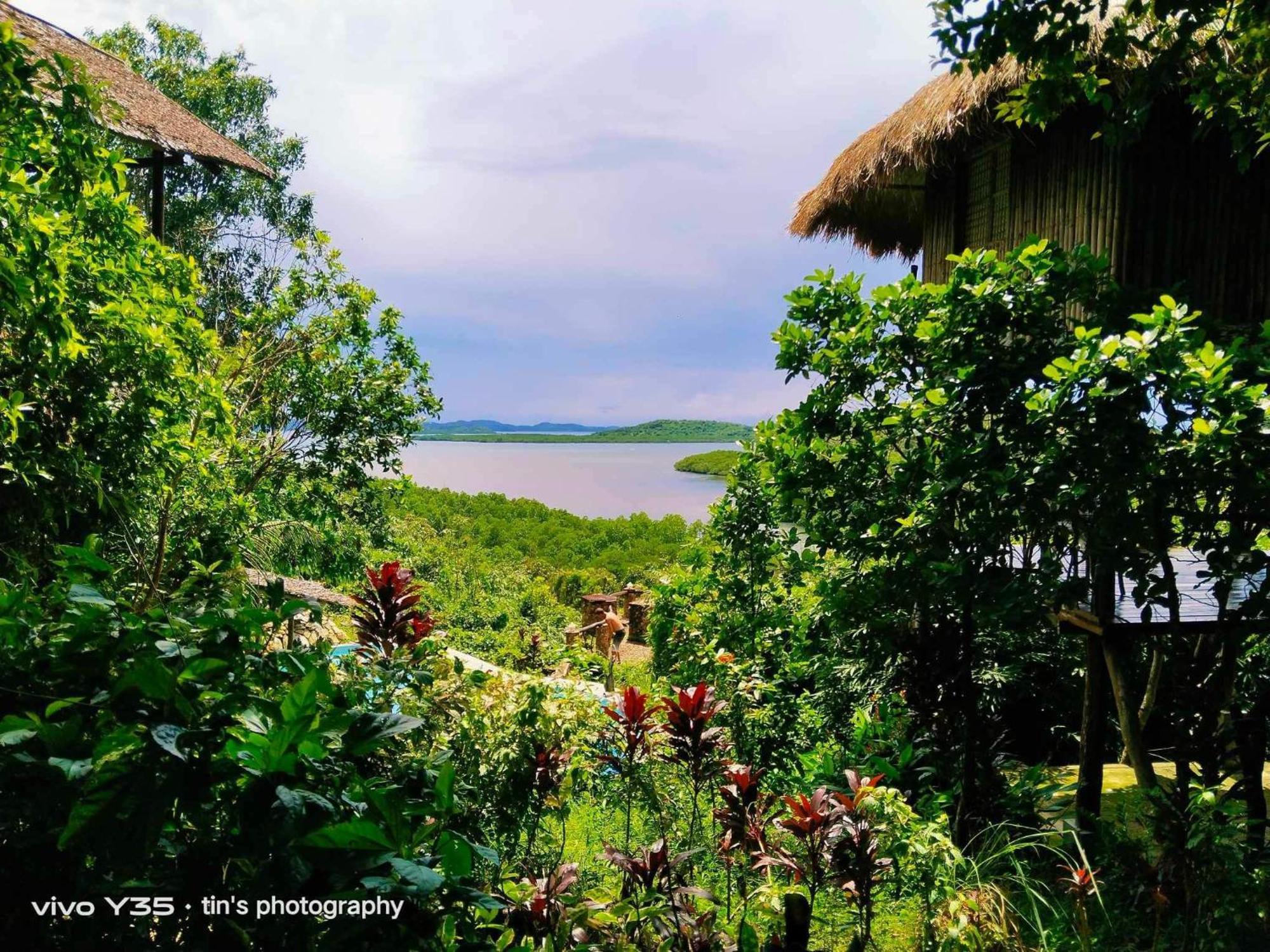 Sanctuaria Treehouses Busuanga Exterior foto